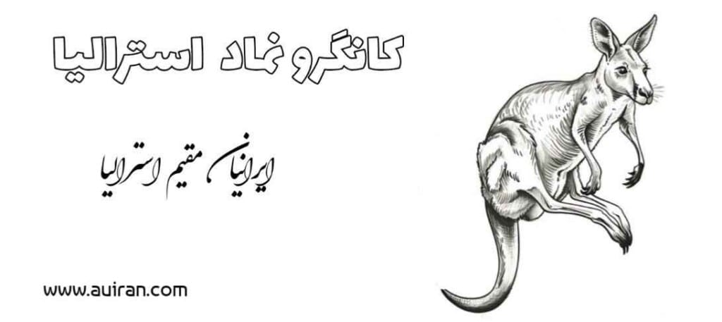 کانگوروها نماد استرالیا کانگوروها کیسه‌دارانی از خانواده Macropodidae هستند