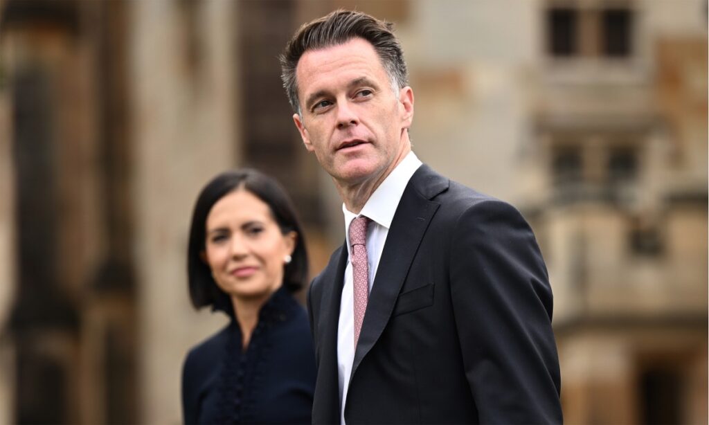 نخست وزیر نیو ساوت ولز، رئیس دولت ایالت نیو ساوت ولز استرالیا است. دولت نیو ساوت ولز از سیستم پارلمانی وست مینستر پیروی می کند و پارلمان نیو ساوت ولز به عنوان قوه مقننه عمل می کند.